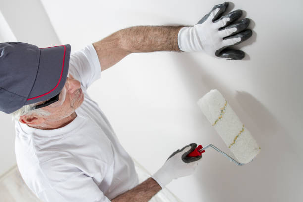 Best Basement Mold Removal  in Cypress Gardens, FL