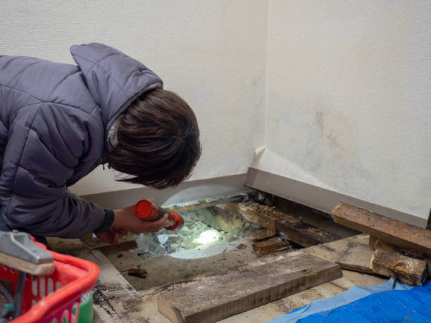 Best Biohazard Mold Removal  in Cypress Gardens, FL