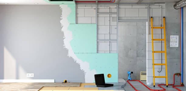 Best Asbestos and Lead Testing During Mold Inspection  in Cypress Gardens, FL